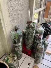 Beach Sea Glass 40 year collection over 100 pounds