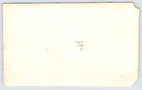 Vintage Antique Photograph of Women with Pet Dog Outside of House - Picture 2 of 2