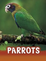 Parrots | Mari Schuh | Englisch | Taschenbuch | Kartoniert / Broschiert | 2021