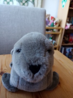 Teddy Hermann  Seebär  Yacu Pacha Edition