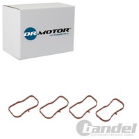 Dr.Motor Automotive Dichtungssatz AnsaugbrÜCke Passend FüR Mazda 3 6 CX-3 CX-5