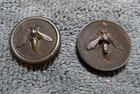 2 Vintage Antique Pressed Carved Horn Picture Buttons WASP BEE — photo 1