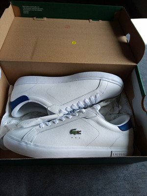 tennis Lacoste carnaby nuevos