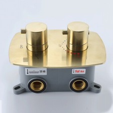 Thermostatic Mixer Valve Dual Handle Control Shower Valve Brushed Gold Brass