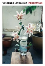 Perfection by Vincenzo Latronico: New