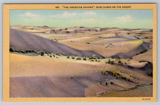 c1930s American Sahara Sand Dunes Desert Los Angeles Postcard