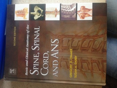 Basic and Clinical Anatomy of the Spine, Spinal Cord, and ANS