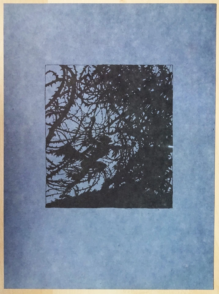 Arthur Rackham Jugendstil Druck "Sommernachtstraum" 31,5 x 23,5 cm