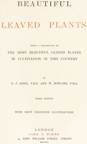 1861 EJ Lowe Esq, bellissime piante a foglie - #21 - Foto 2 di 4