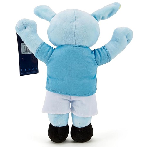 Manchester City Official Teddies Teddy Bear Soft Toys Kids Baby Girl Unisex Gift - Picture 36 of 59