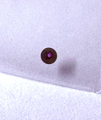 WALTHAM 12 SIZE BALANCE JEWEL #8252 FOOT HOLE: 12 NOS --BB-1893