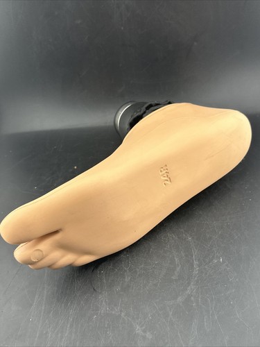 osur pro-flex LP Torsionsprothese Fuß. Größe 24. Kategorie 2. Rechter Fuß - Bild 17 von 17