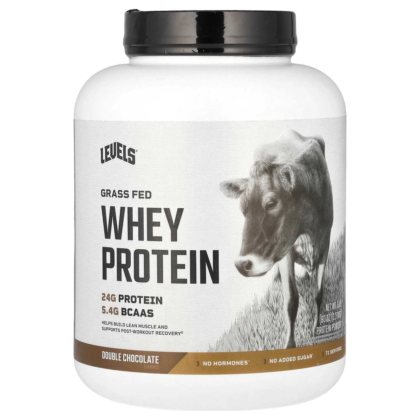 Grass Fed Whey Protein Powder Double Chocolate 5 lbs 227 kg 18290₽