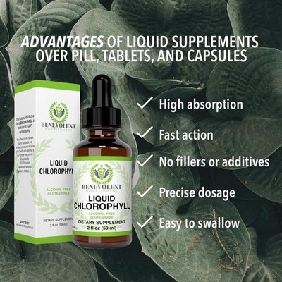 Benevolent Nourishment Liquid Chlorophyll Herbal Supplement  2 oz.
