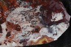 Crazy Lace Agate Slab -  5 Ozs - Lapidary - Display - Crafts — photo 4