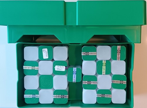 U.S. Treasury American Silver Eagles ASE Green Monster Box w/ 2 Trays & 25 Tubes