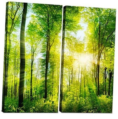 Forest Canvas Wall Art Decor - 24x24 Tree Landscape 24''L x 12''W 1201 - Forest