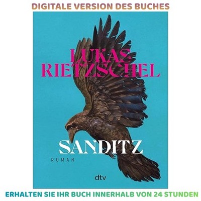 Sanditz: Roman Das große Epos der Nachwend, Lukas Rietzschel 2026