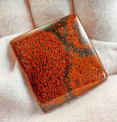 Rare Red/Orange GemBone Dinosaur Bone Cabochon - Beautiful Contrast - 47.5 cts.