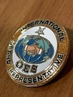 Vintage Pin Order of the Eastern Star International Grand Representative Pin — photo 5
