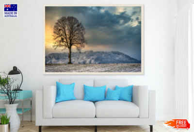 (Laminated) Tree on Snow Covered Ground Photograph 91x61cm