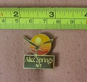 Vintage Alice Springs NT Australia Travel Souvenir Lapel Pin Sunset Seagull