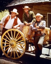 Bonanza 24x36 inch Poster Dan Blocker Michael Landon Lorne Greene full length