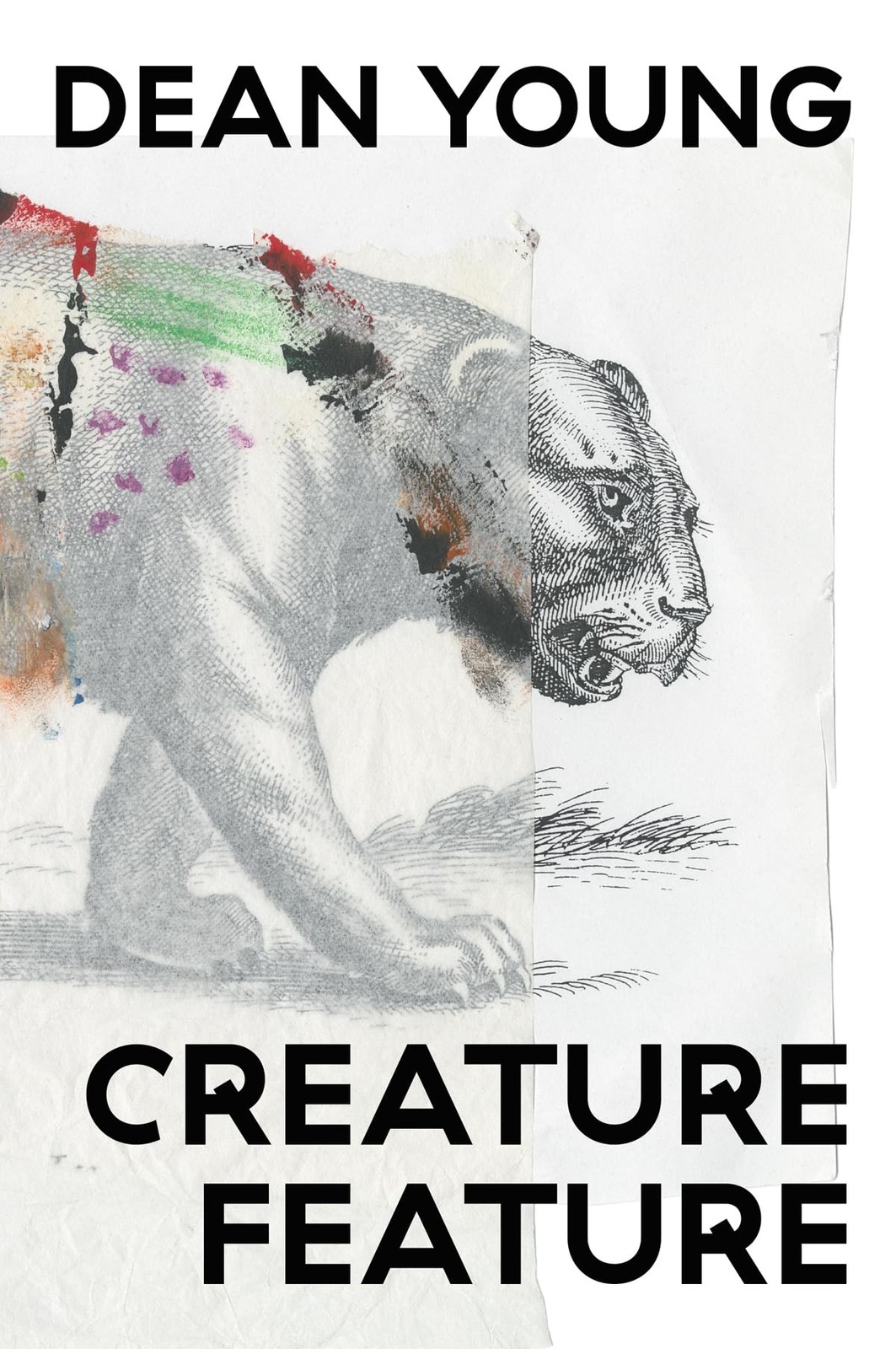Creature Feature by Dean Young (PB 2026) - Image 6
