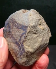 Prehistoric Paleo-American fossilized egg stone art sculpture multi tool.