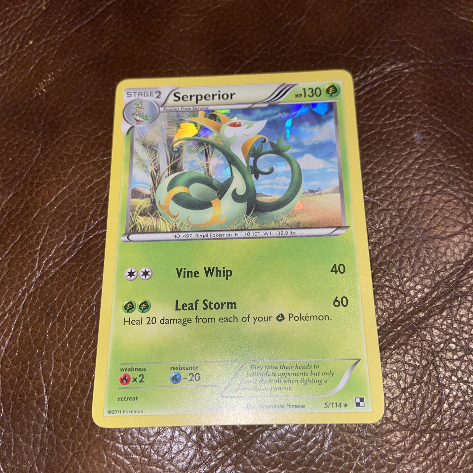 pokemon TCG 2011 Serperior holo rare 5/114 Pokemon Black & White NM