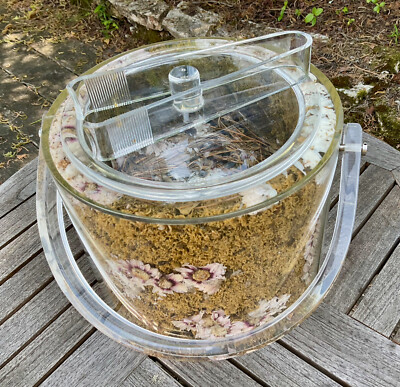 Eiskübel mit Deckel und Zange Neu