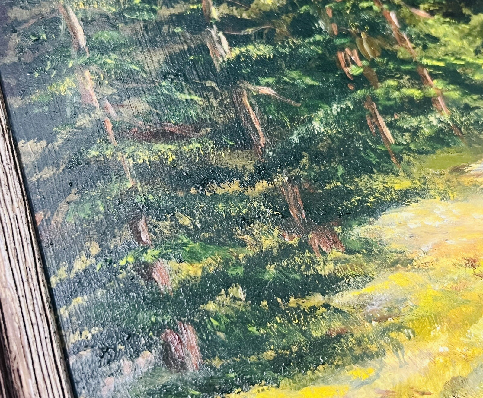 Picture 24 of 24