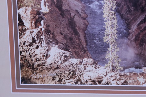 Fred Joy Canyon of the Yellowstone VTG Earth Tone Framed Rare Photo Wyoming Art - Picture 11 of 24