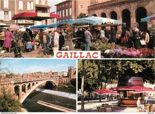 Carte Postale - 81 - Gaillac - Multivues - Marché - CPM - Voir Scans Recto-Verso