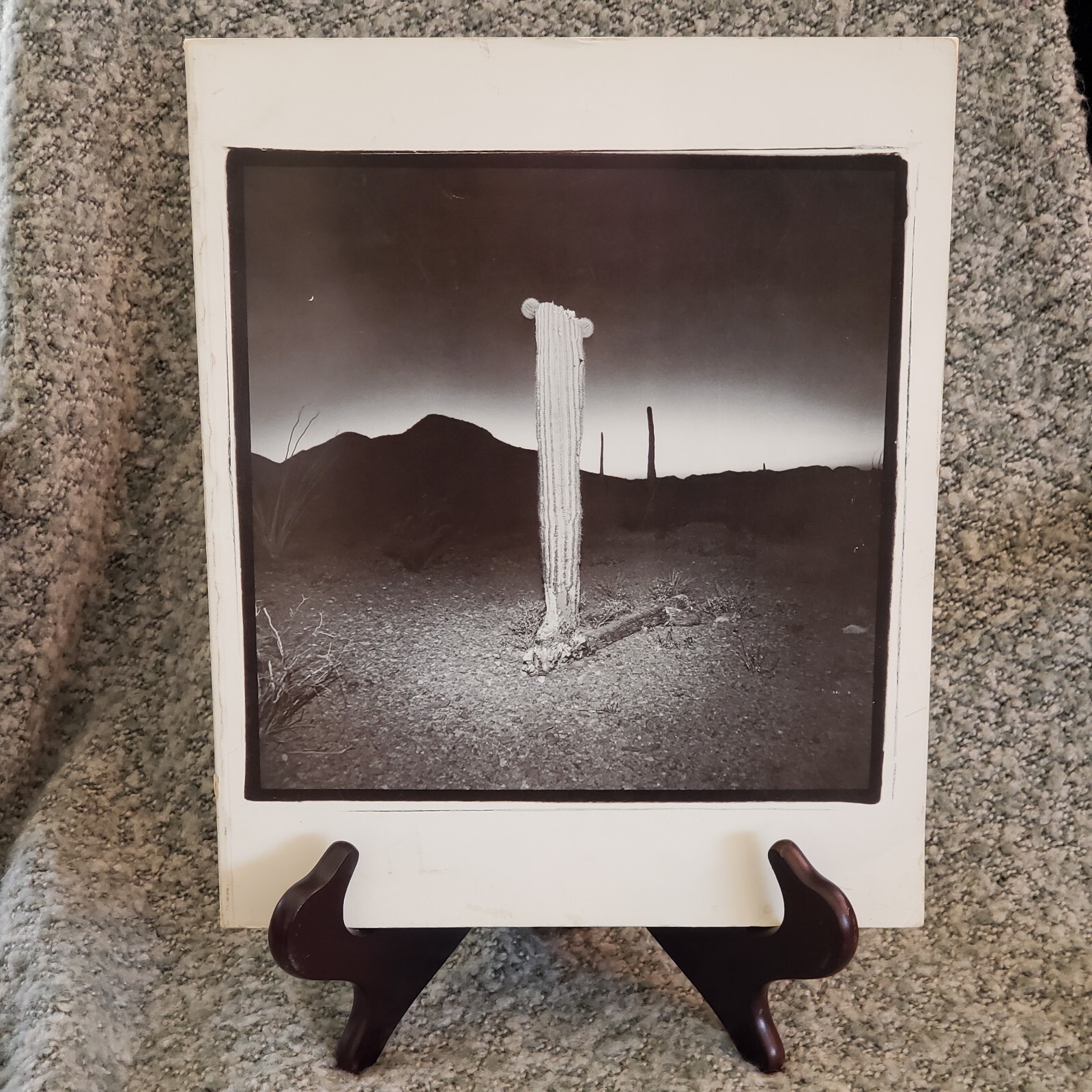 Foto 1 di 20