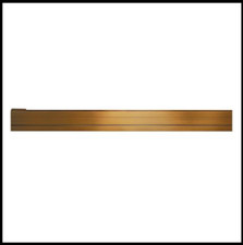 Steamist BLSH Bilateral Steam Head - Brushed Bronze