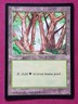 Magic The Gathering ASIA PACIFIC LAND PROGRAM APAC FOREST CHINA blue pack MTG