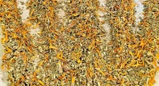 Ginkgo Damiana Marigold Gotu Kola Mullein - No.9 Herb Blend Natural Bulk Mixture