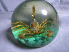 VTG SCORPION in Lucite Paperweight-Green