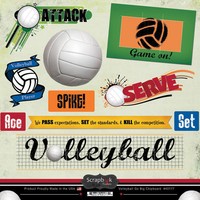 Authorized Retailer Of Volleyball Go Big Chipboard Authorized Retailer Of Volleyball Go Big Chipboard