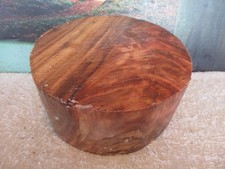 SPALTED RIVER BIRCH CROTCH 7 x 3 TURNING WOOD BOWL BLANK