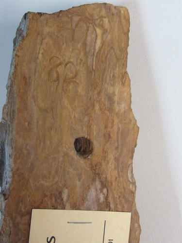 Wood Spirit Indianer 18,5" Holzschnitzerei 1982 Andrew Elmer signiert - Bild 5 von 6