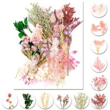 iDattel Fiori secchi Naturali,Fiori secchi per Resina,Mix di Fiori