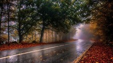 Landscape nature photography wet fall road mist trees Custom Gaming Mat Desk