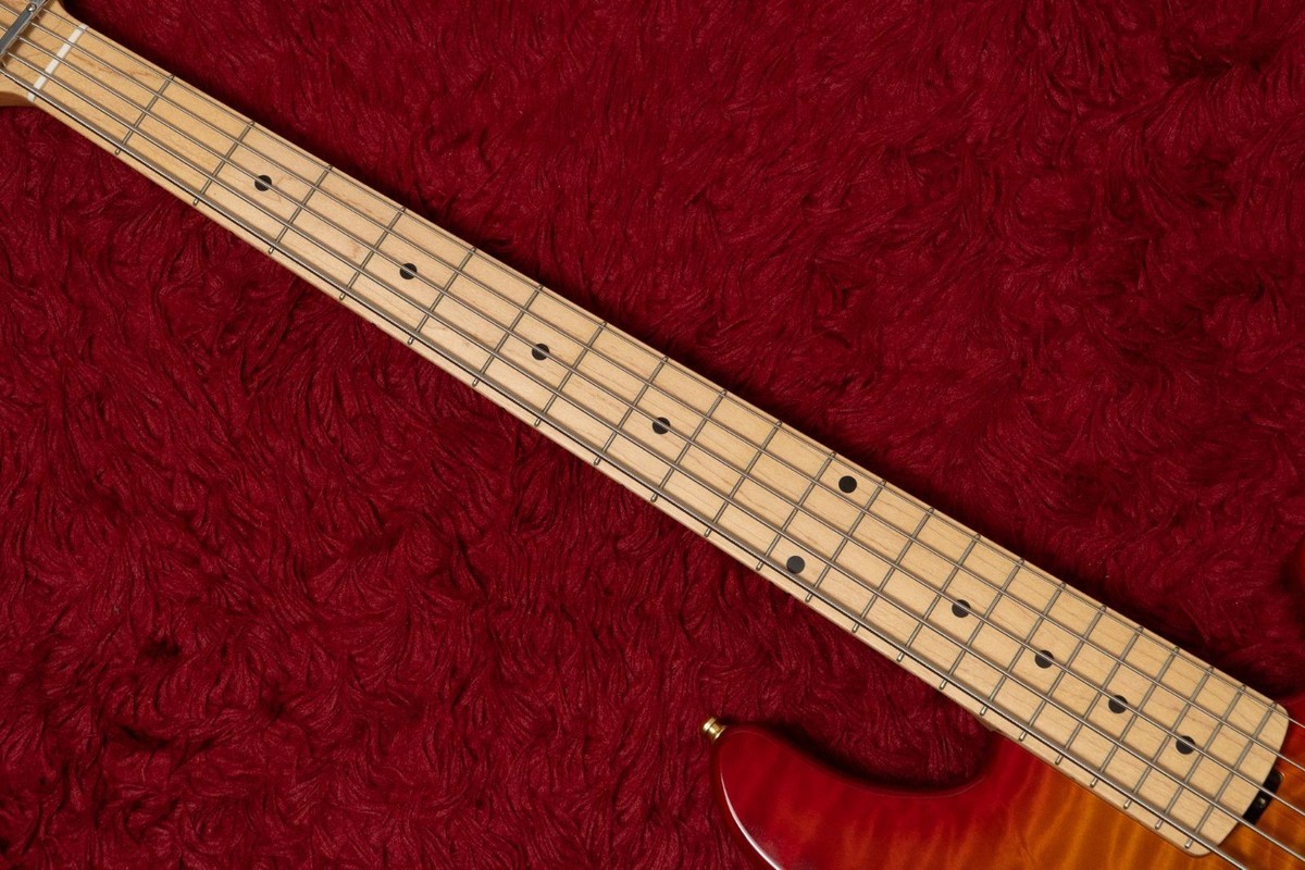 Used Lakland / Shoreline Series Sl55-94 Deluxe Mod. 3,980Kg