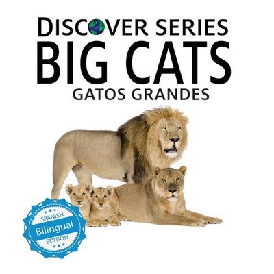 Big Cats / Gatos Grandes Xist Publishing Hardcover Xist Publishin