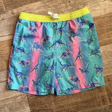 Chubbies The Dino Delights Youth Classic Mesh Lined Swim Trunks Blue/Pink Dinosa