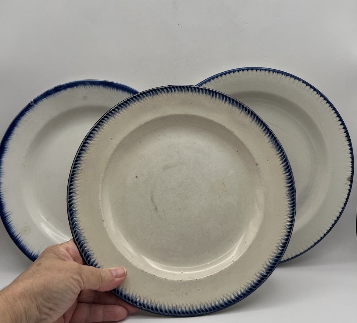 Three white ironstone plates with a hand-painted blue feather edge border.