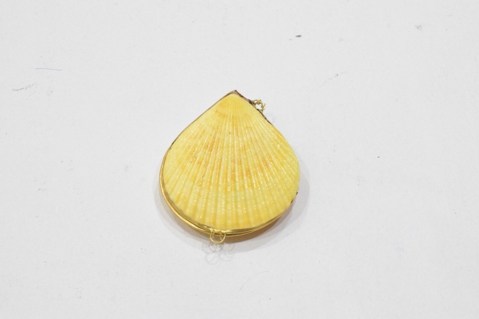 Purses Shell Assorted Colored Shell Pill Box Trinket Coin Purse | eBay