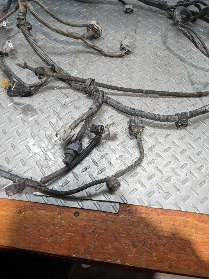 4 RUNNER 2003 4.0L Engine Wire Harness 1147089 - Image 3 of 4